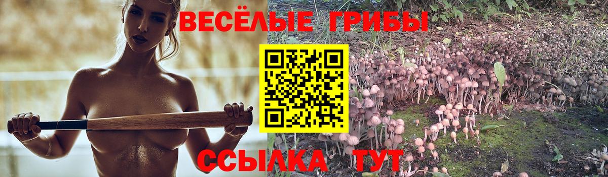 Псилоцибиновые грибы ЛСД  Псилоцибиновые грибы Cubensis  Минеральные Воды  Вход с VPN 